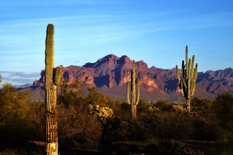 Three saguaros in the forefront of a Sonoran desert and mountain backdrop.