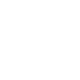 dollar shield icon