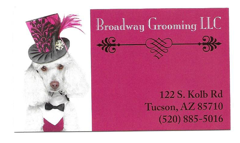 White poodle in a bow tie and pink and black top hat