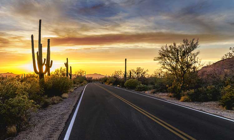 Arizona sunset over saguaro and paved road